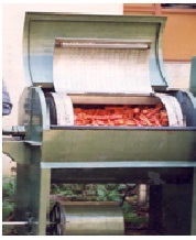 P A U Fruit and Vegetable washing machine