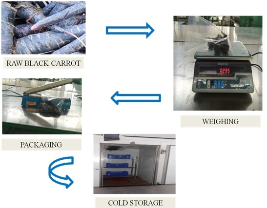 black carrot flowchart.tif