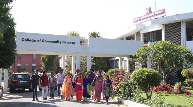 Punjab govt approves medical college
